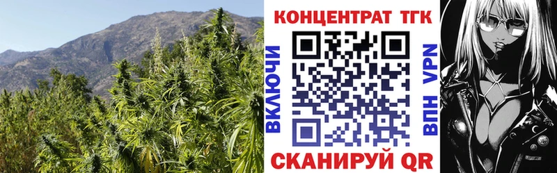 закладки  Новопавловск  ТГК гашишное масло 